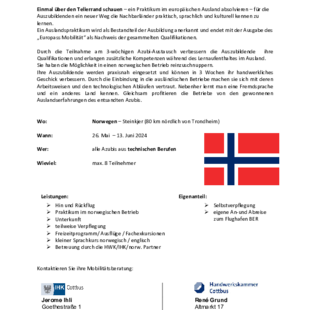 Flyer Auslandspraktikum